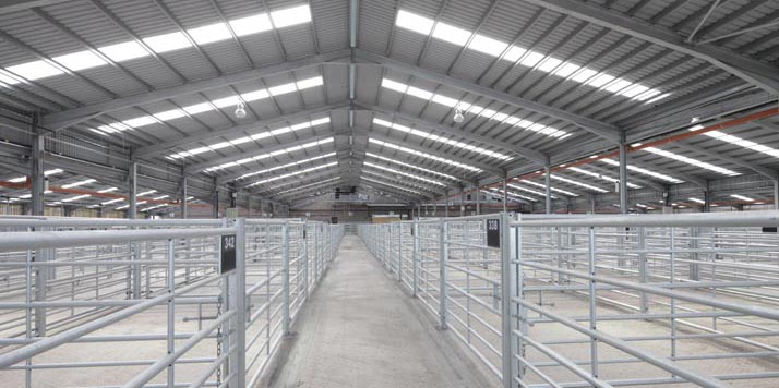 New Livestock Auction Market